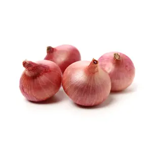 Brown Onion 1 kg