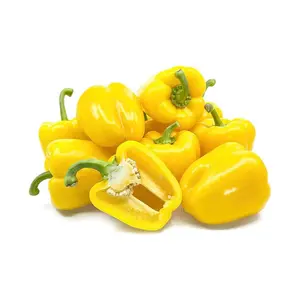 Yellow Capsicum