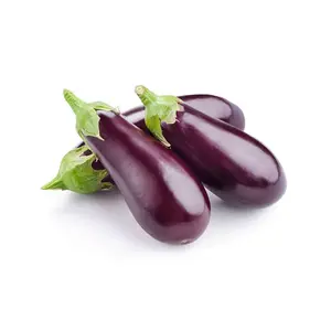 Eggplant