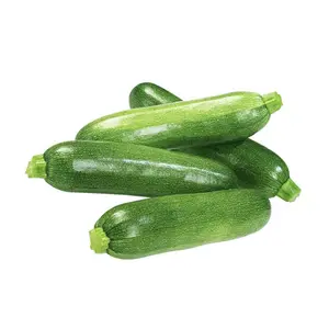 Zucchini