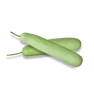 Long melon