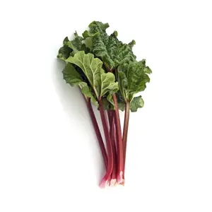 Rhubarb