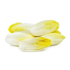 Endive