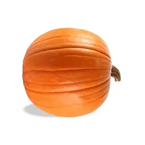 Pumpkin Jumbo