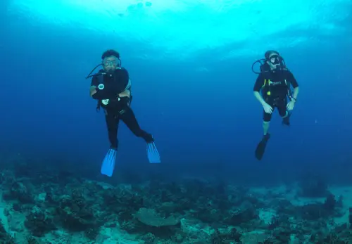 Snorkel or Dive the Reefs and Drop-Offs  
