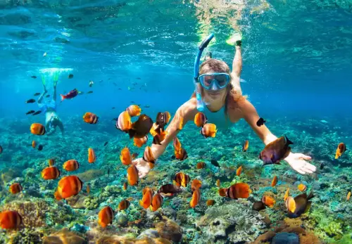 Snorkelling Adventures