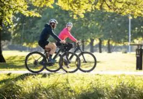 Stroll or Bike Through Hagley Park and the Botanic Gardens 