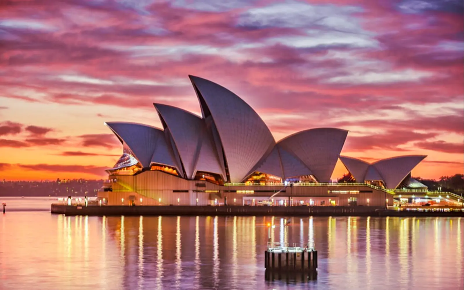 Sydney Sensations: Essential, Wild & Elite Escapes