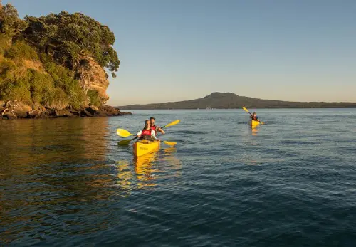 Take a Day Trip to Rangitoto Island  