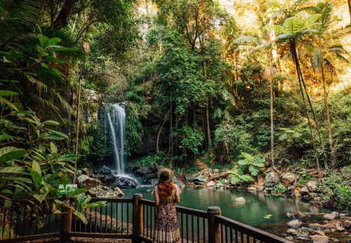 Tamborine Mountain Tour