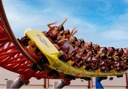 Theme Park Passes 