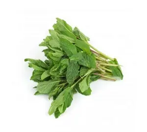 Mint leaves/Puthina (പുതിന ) 100 gm