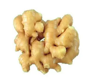 Ginger - Organically Grown (ഇഞ്ചി) 100 g