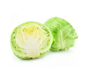 Cabbage, 1 pc approx. 500 to 800 gm