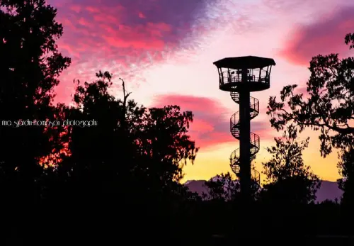 Treetop Walk & Tower in Hokitika  
