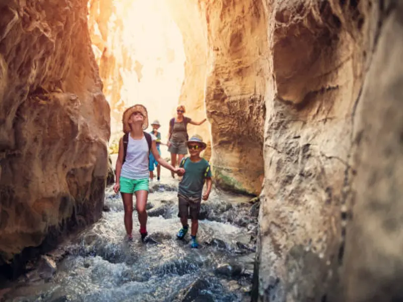 Ventura Jungle And Caves