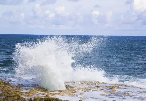 Visit the Blowholes at High Tide  