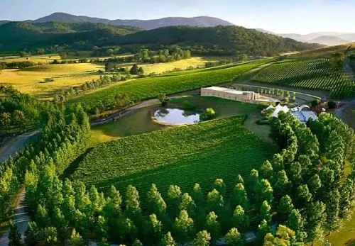 Yarra Valley Winery Tour 