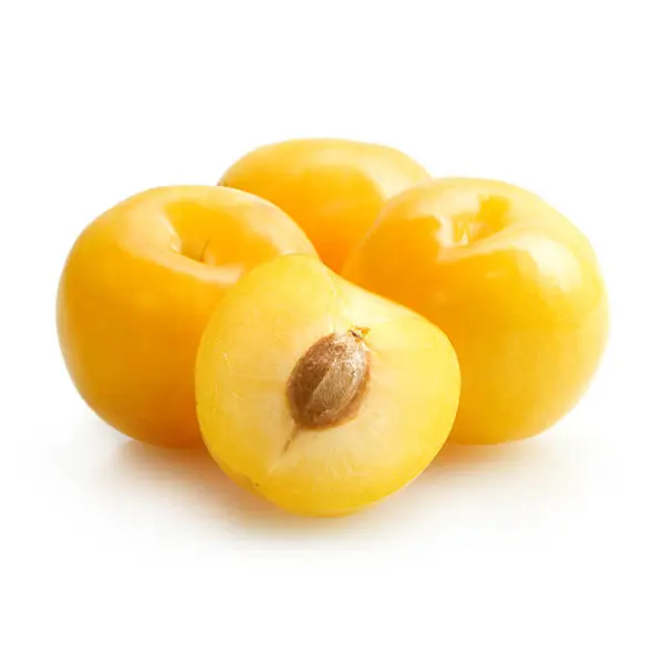 YELLOW PLUM